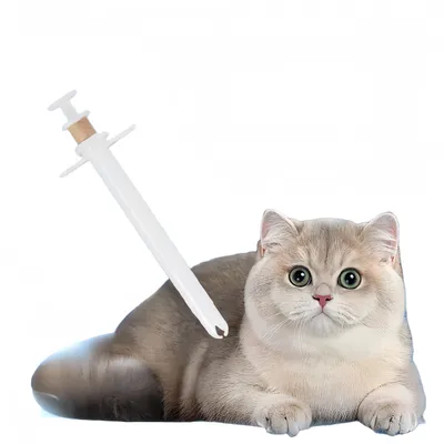 Petopia Seringues pour animaux de compagnie