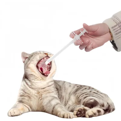 Petopia Seringues pour animaux de compagnie