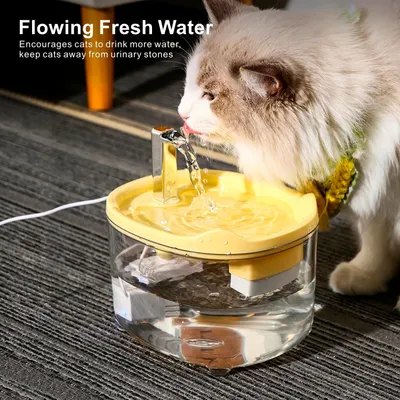 PurrfectFun Distributeur d'eau automatique pour chats et chiens
