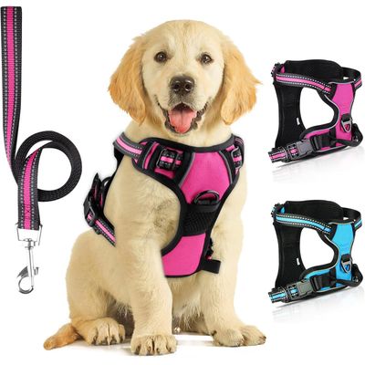 Harnais Chien Anti-Traction Réfléchissant avec Laisse Plein Air Rose T.S
