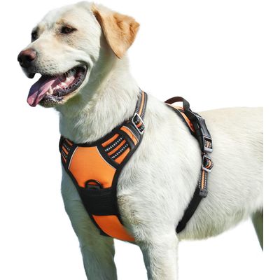 Harnais Anti-Traction Chien T.M Orange Réfléchissant Poignée
