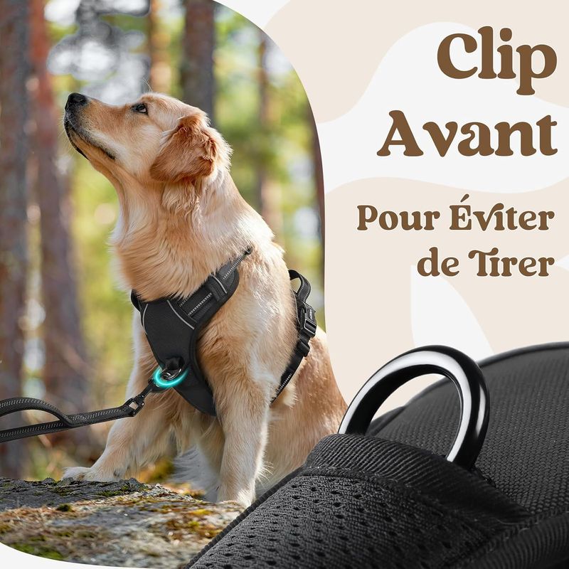 Harnais Anti-Traction Chien 3 Boucle,Attache Devant Réfléchissant Noir T.S