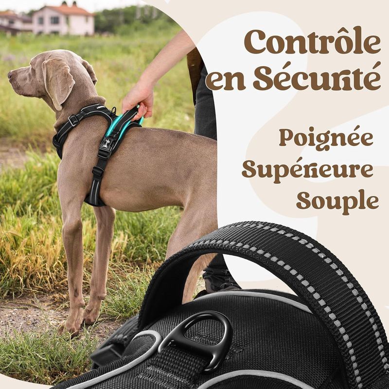 Harnais Anti-Traction Chien 3 Boucle,Attache Devant Réfléchissant Noir T.S