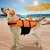 UAMLY Niedliche Hai-Schwimmweste für Hunde UAMLY Niedliche Hai-Schwimmweste für Hunde