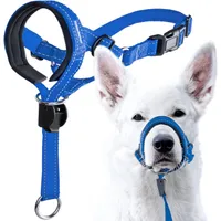 UAMLY Licol pour chien avec sangle de sécurité