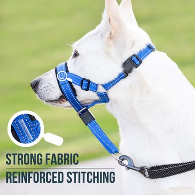 UAMLY Licol pour chien avec sangle de sécurité