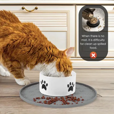 UAMLY Tapis en silicone pour aliments pour animaux