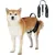 UAMLY Harnais de Levage pour Chiens pour Les Arrière-Jambes