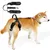 UAMLY Harnais de Levage pour Chiens pour Les Arrière-Jambes