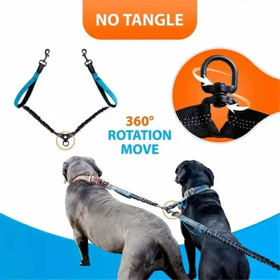 UAMLY Laisse double mains libres pour chien