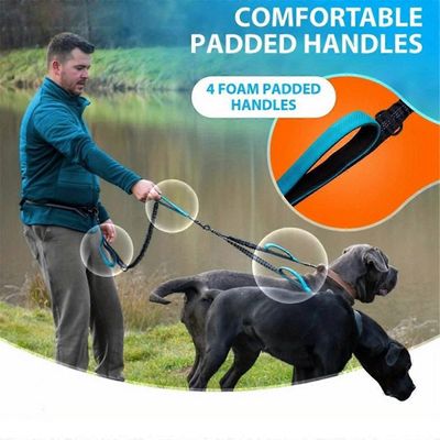 UAMLY Laisse double mains libres pour chien
