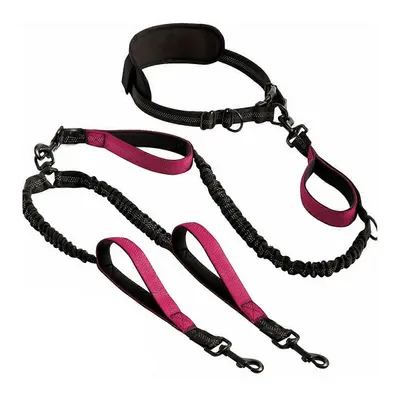 UAMLY Laisse double mains libres pour chien
