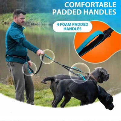 UAMLY Laisse double mains libres pour chien