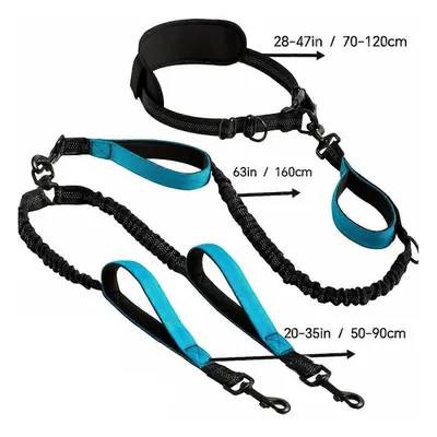 UAMLY Laisse double mains libres pour chien