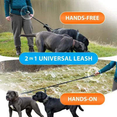 UAMLY Laisse double mains libres pour chien