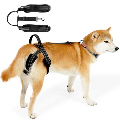 UAMLY Harnais de Levage pour Chiens pour pattes arrière