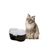 H2O Fontaine à Eau pour chat CatH2O Grise 2L