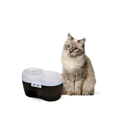 H2O Fontaine à Eau pour chat CatH2O Grise 2L