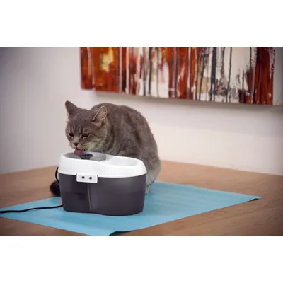 H2O Fontaine à Eau pour chat CatH2O Grise 2L