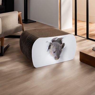 PET DESIGN Griffoir carton RATATOUILLE - 29,5 x 25 x 17,5 cm