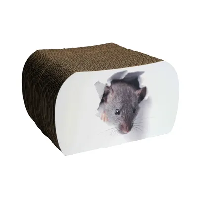 PET DESIGN Griffoir carton RATATOUILLE - 29,5 x 25 x 17,5 cm