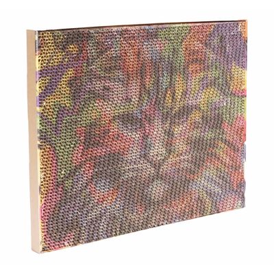 PET DESIGN Griffoir carton GRIFZONE Color - 43 x 34 x 2.5 cm