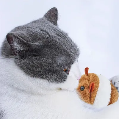 IntiMeg Lot de 4 souris vibrantes en peluche pour chat