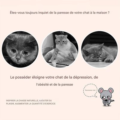 IntiMeg Lot de 4 souris vibrantes en peluche pour chat