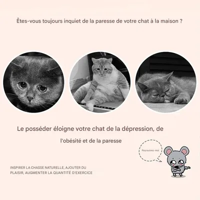 IntiMeg Juego de 4 ratones de peluche vibradores con forma de gato