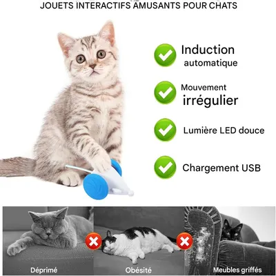 IntiMeg Jouets pour chat et souris