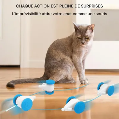 IntiMeg Jouets pour chat et souris