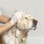 IntiMeg Shampooing à l'avoine pour chien et chat