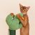 IntiMeg Griffoir en forme d'arbre cactus pour chat