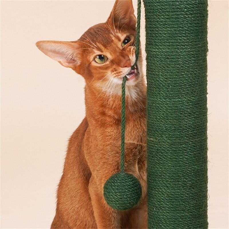 IntiMeg Griffoir en forme d'arbre cactus pour chat