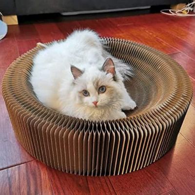 Pet Planet Cama para gatos - Rascador redondo plegable