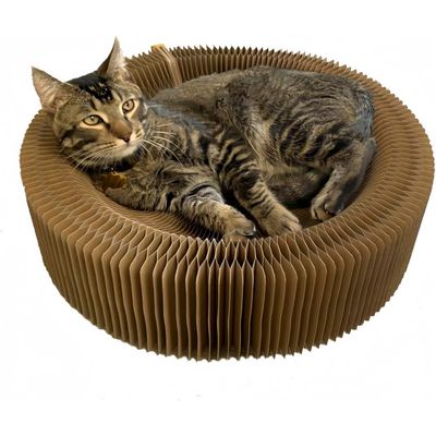 Pet Planet Chats Lit - griffeuse pliable en rond