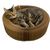 Pet Planet Chats Lit - griffeuse pliable en rond