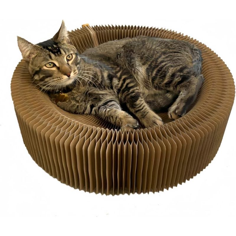 Pet Planet Chats Lit - griffeuse pliable en rond