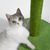 IntiMeg Griffoir en forme de cactus en jute pour chat