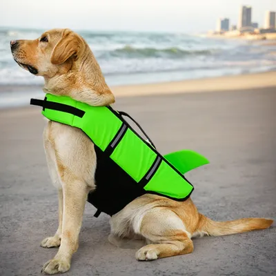 Petopia Gilet de sauvetage pour chien