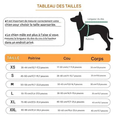 Petopia Gilet de sauvetage pour chien