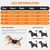 PurrfectFun Gilet de sauvetage flottant pour chiens et chiots