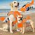 PurrfectFun Gilet de sauvetage flottant pour chiens et chiots