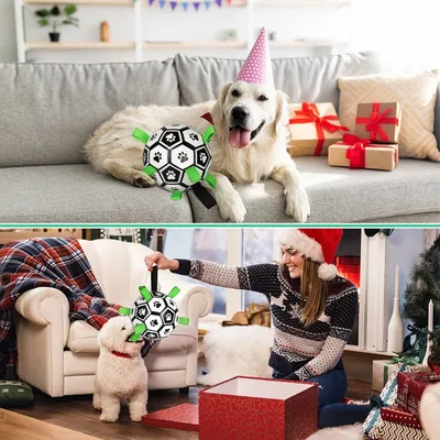 Petopia Balle de football pour chien avec sangles