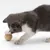 FurryFusion Jouet pour chat en forme de boule de rotin
