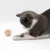 FurryFusion Jouet pour chat en forme de boule de rotin