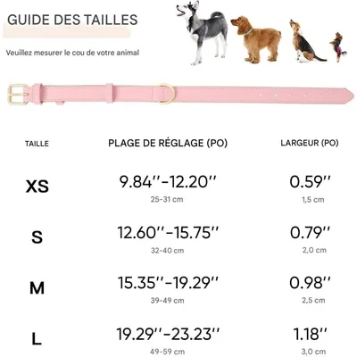 Pet Planet Collier pour chien en cuir