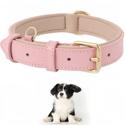 Pet Planet Collier pour chien en cuir Pet Planet Collier pour chien en cuir