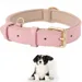 Pet Planet Collier pour chien en cuir