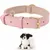 Pet Planet Collier pour chien en cuir Pet Planet Collier pour chien en cuir